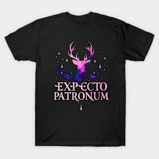 Harry Potter Tribute - Expecto Patronum - HP - Books & Cleverness - Hary Poter Potter Harry Wizard tribute T-Shirt